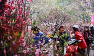 Kinh nghiệm đặt vé xe về quê ăn Tết